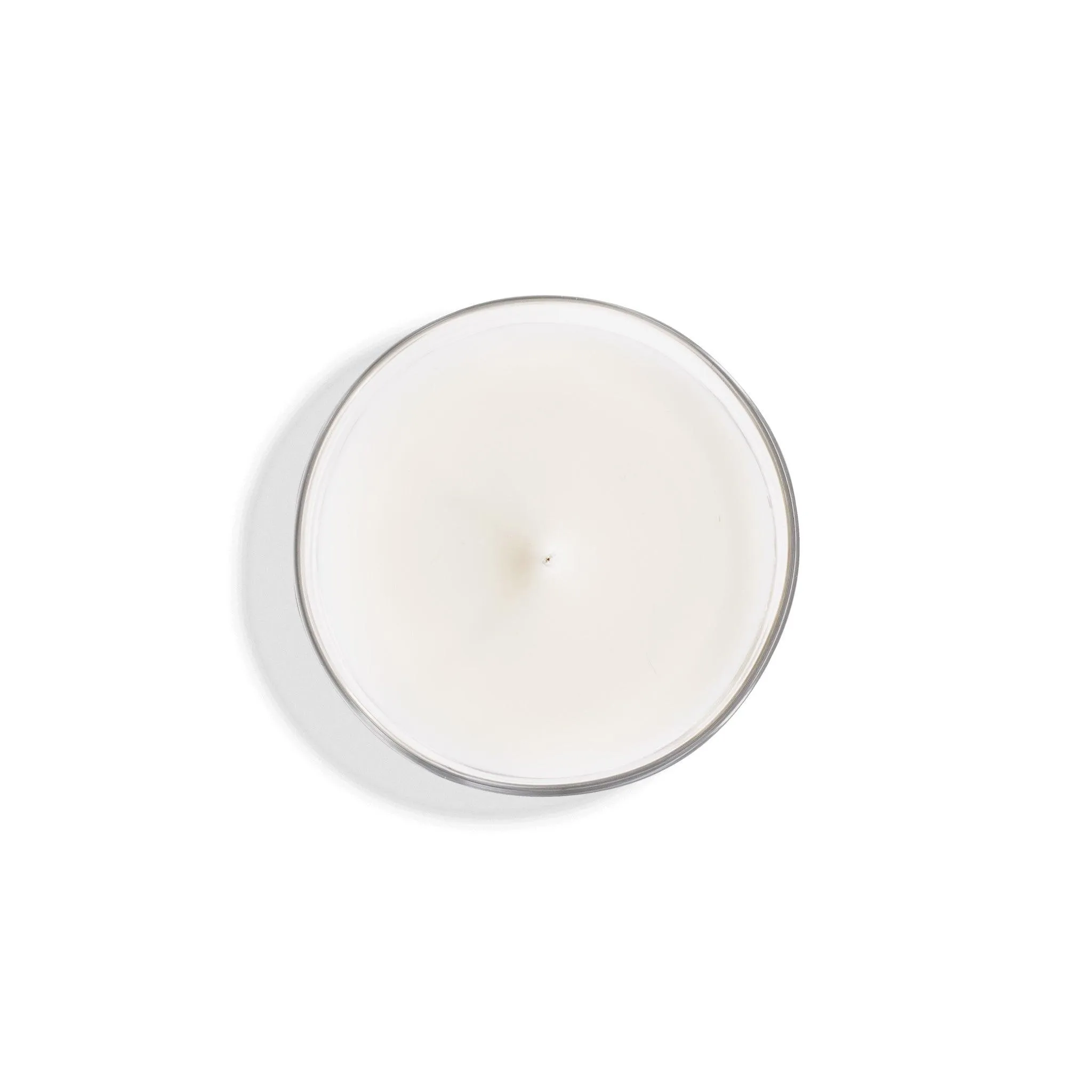 Forêt Vierge | Bougie parfumée