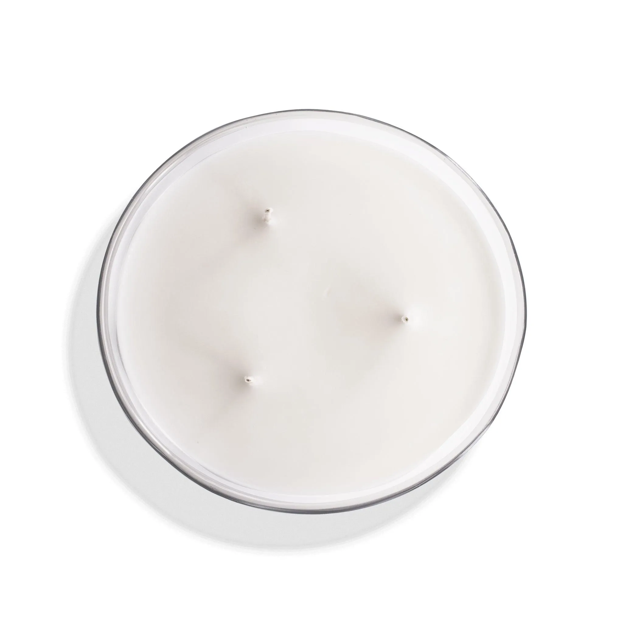 Forêt Vierge | Grande Bougie parfumée